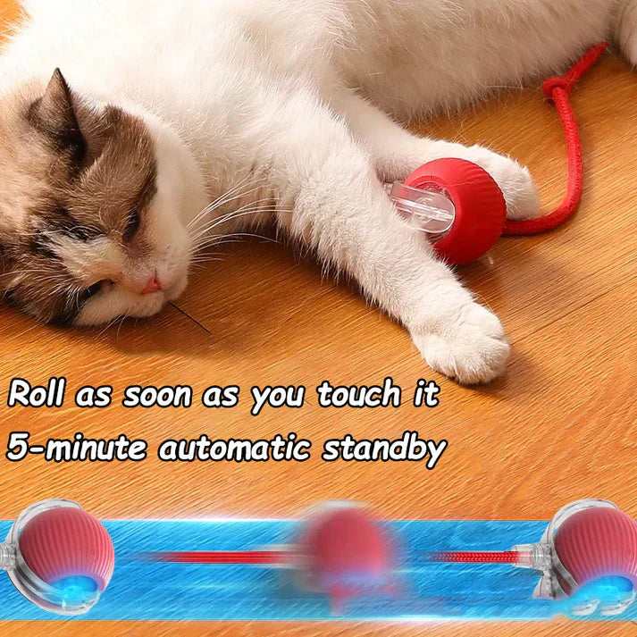 Automatic Cat Interactive Rolling Ball